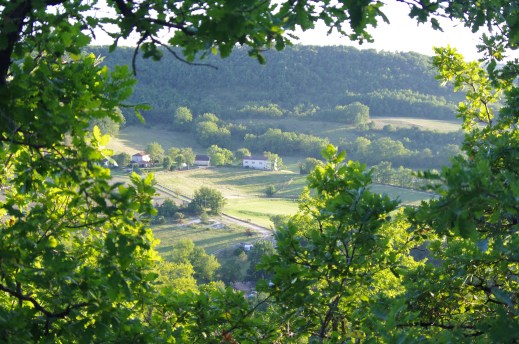 domainedesterresblanches (2)