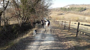 domainedesterresblanches-2