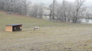 domainedesterresblanches-4