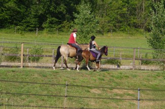 domaine des terres blanches