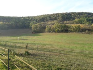 Domaine des terres blanches lot (8)