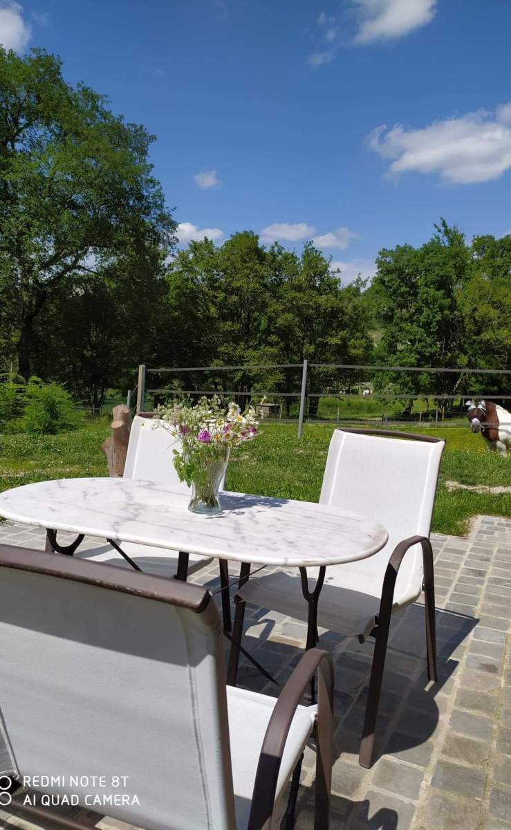 Terrasse du Baden Horses